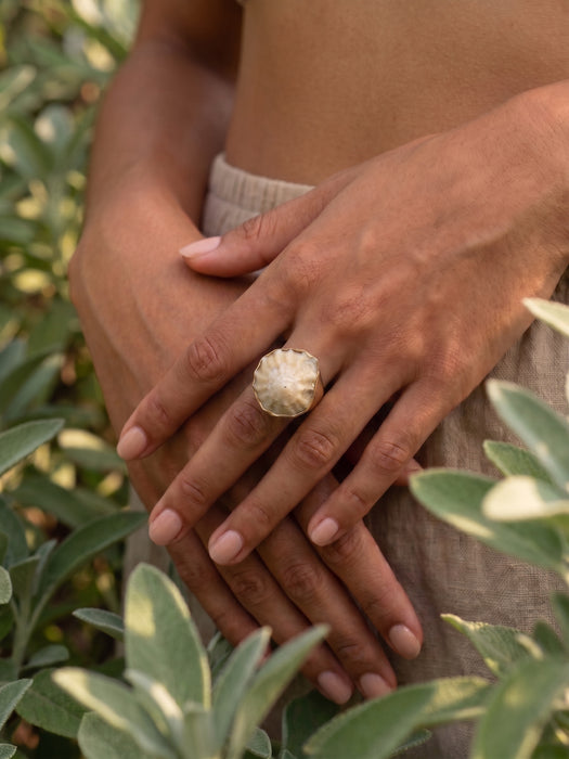 Anillo de Concha