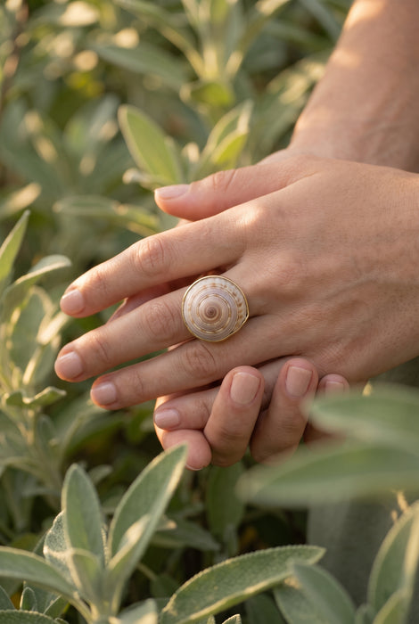 Anillo de Caracol Marino