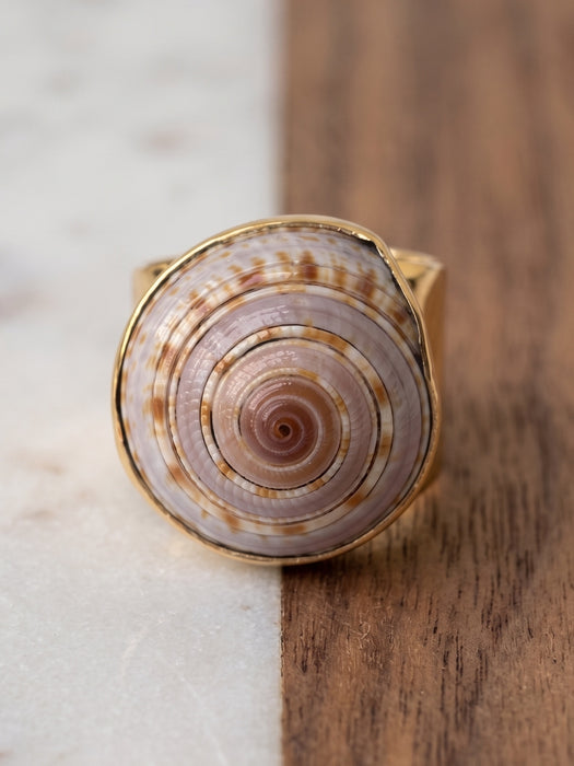 Anillo de Caracol Marino