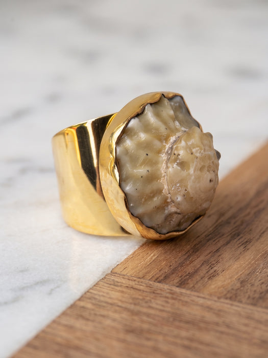 Anillo de Concha