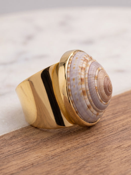 Anillo de Caracol Marino